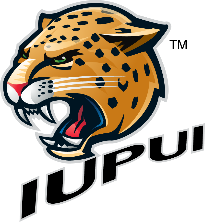 IUPUI Jaguars 2007-2017 Secondary Logo v3 DIY iron on transfer (heat transfer)
